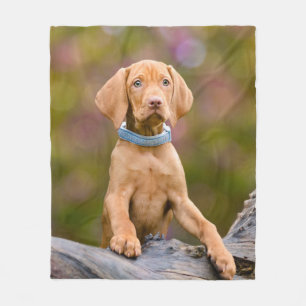 Foto van de Hongaarse Vizsla Dog Puppy Fleece Deken