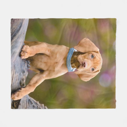 Foto van de Hongaarse Vizsla Dog Puppy Fleece Deken (Voorkant (Horizontaal))