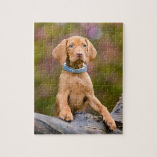 Foto van de Hongaarse Vizsla Dog Puppy Legpuzzel