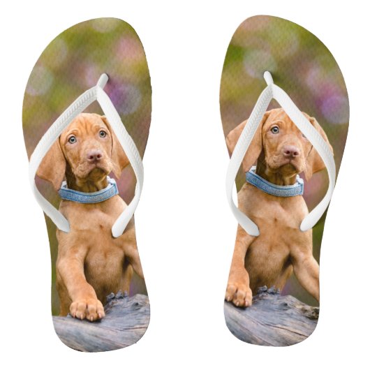 Foto van de Hongaarse Vizsla Dog Puppy Teenslippers (Voetbed)
