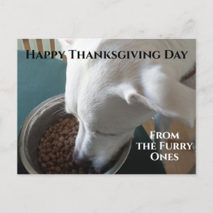 Foto van de hongerhond die niet kan wachten om te  briefkaart