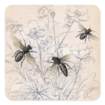 foto van de honingbijen