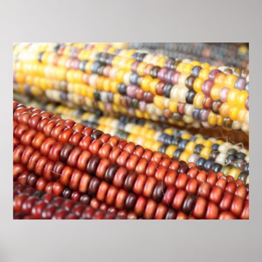 Foto van de Indiase Corn Rustic Poster (Voorkant)