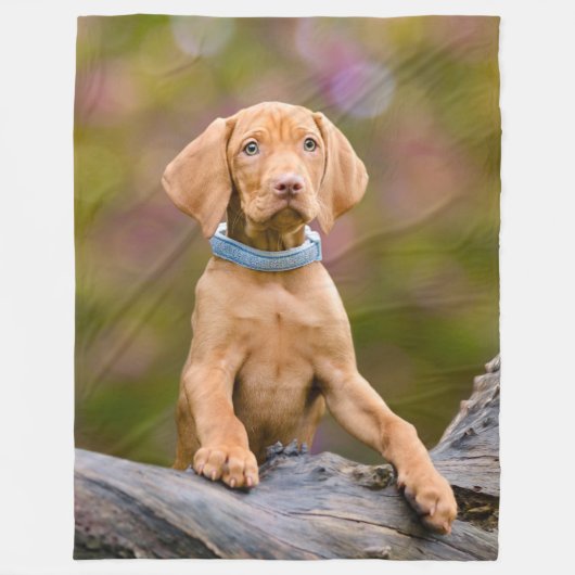 Foto van de juffrouw Hongaarse Vizsla Dog Puppy Fleece Deken (Voorkant)