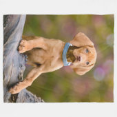 Foto van de juffrouw Hongaarse Vizsla Dog Puppy Fleece Deken (Voorkant (Horizontaal))