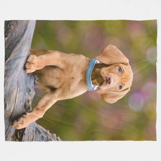 Foto van de juffrouw Hongaarse Vizsla Dog Puppy Fleece Deken (Voorkant (Horizontaal))