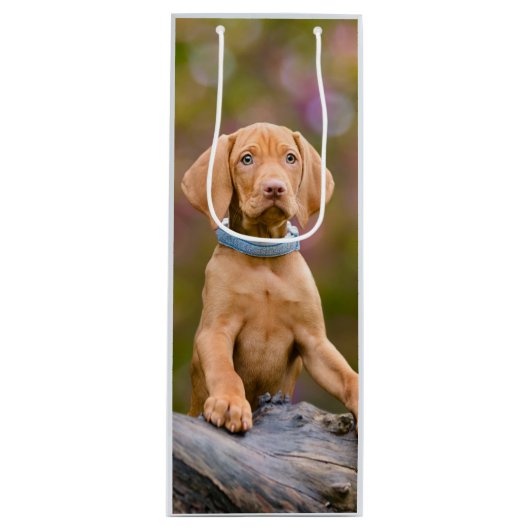 Foto van de juffrouw Hongaarse Vizsla Dog Puppy __ Wijn Cadeautas (Voorkant)