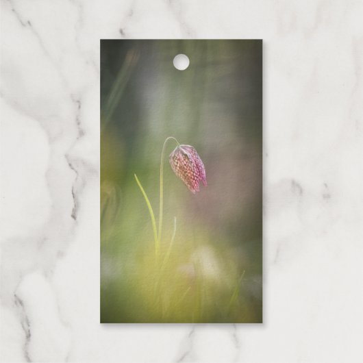 Foto van de kauwbloem Natuur Cadeaulabels (Achterkant)