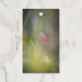 Foto van de kauwbloem Natuur Cadeaulabels
