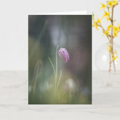 Foto van de kauwbloem Natuur Kaart (Gele Bloem)