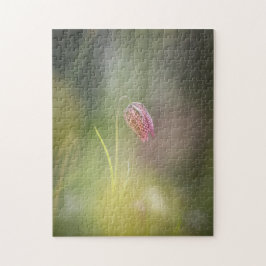 Foto van de kauwbloem Natuur Legpuzzel