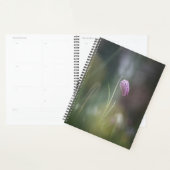 Foto van de kauwbloem Natuur Planner (Display)
