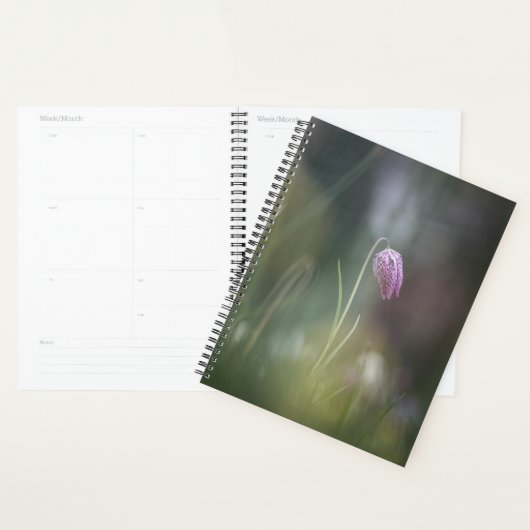 Foto van de kauwbloem Natuur Planner (Display)