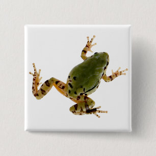 Foto van de kikker van de Arizona-boom Vierkante Button 5,1 Cm