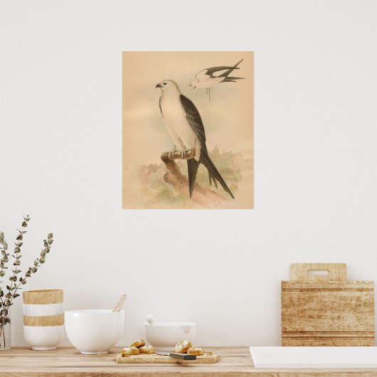  foto van de  kunstdrukken van de gevlekte diersoo poster (Keuken)