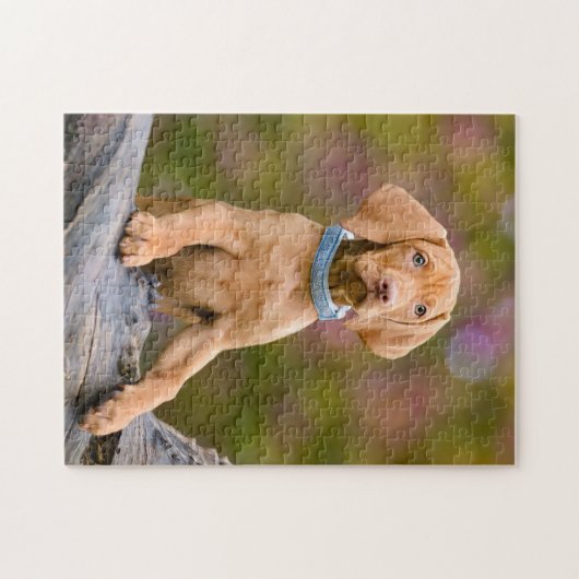Foto van de luidop in het Hongaars Vizsla Dog Legpuzzel (Horizontaal)