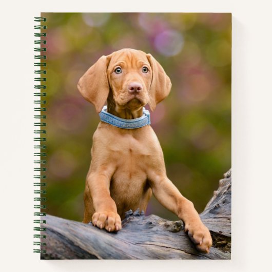 Foto van de luidop in het Hongaars Vizsla Dog ... Notitieboek (Voorkant)