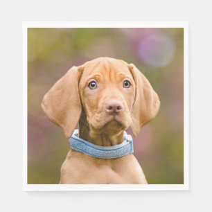 Foto van de luidop in het Hongaars Vizsla Dog Servet