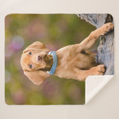 Foto van de luidop in het Hongaars Vizsla Dog ... Sherpa Deken (Voorkant (horizontaal))