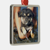 Foto van de luiftige puppy Dog Metalen Ornament (Rechts)