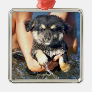 Foto van de luiftige puppy Dog Metalen Ornament
