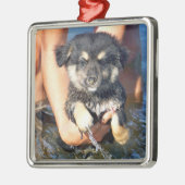 Foto van de luiftige puppy Dog Metalen Ornament (Links)
