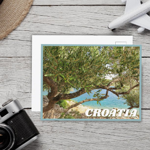 Foto van de mediterrane Zee Olijfolie van Kroatië Briefkaart