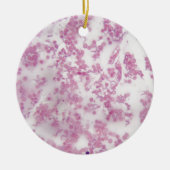 Foto van de microscoop van menselijk bloed met Try Keramisch Ornament (Voorkant)