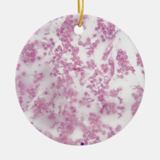 Foto van de microscoop van menselijk bloed met Try Keramisch Ornament (Voorkant)