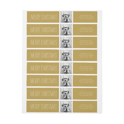 Foto van de moderne Gold Merry One (Vel)