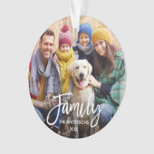 Foto van de moderne penseel ornament (voorkant)