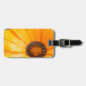 Foto van de natte lente-Flash African Daisy Bagagelabel (Voorkant horizontaal)