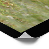 Foto van de natuur "Fawn 1"-: foto van herten met  Poster (Hoek)