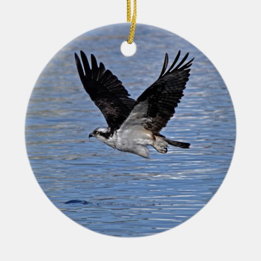 Foto van de Natuur "Flying Fish Eagle Osprey" Keramisch Ornament (Voorkant)