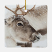 Foto van de natuur in Noorwegen Keramisch Ornament (Achterkant)