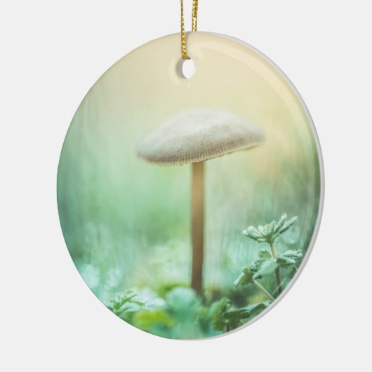 Foto van de Natuur van de paddenstoel Keramisch Ornament (Links)