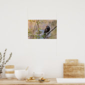 Foto van de natuur van zwarte vogelsoorten poster (Keuken)