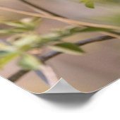 Foto van de natuur van zwarte vogelsoorten poster (Hoek)