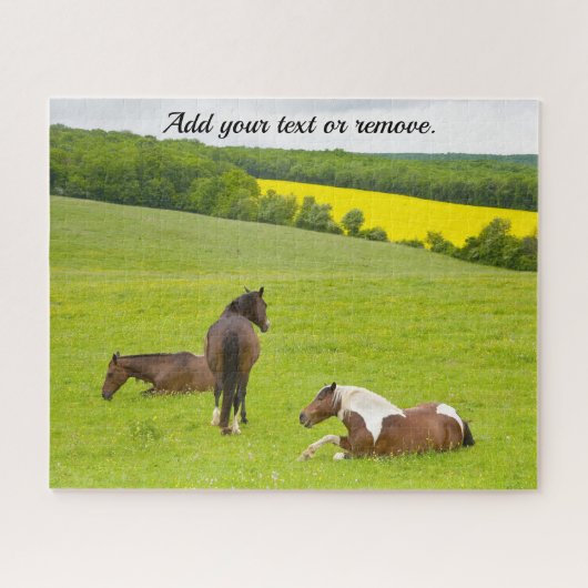 Foto van de natuur, wilde bruine paarden in een we legpuzzel (Horizontaal)