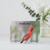 foto van de noordelijke kardinaal briefkaart (Staand voorkant)
