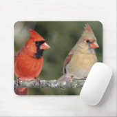 Foto van de noordelijke kardinaal Mousepad Muismat (Met muis)