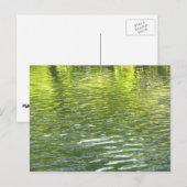 Foto van de Oak Creek Yellow en Green Natuur Briefkaart (Voorkant / Achterkant)