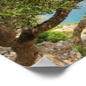 Foto van de olijgoest aan de Middellandse Zee Poster (Hoek)