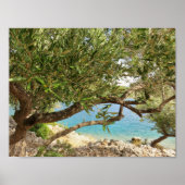 Foto van de olijgoest aan de Middellandse Zee Poster (Voorkant)