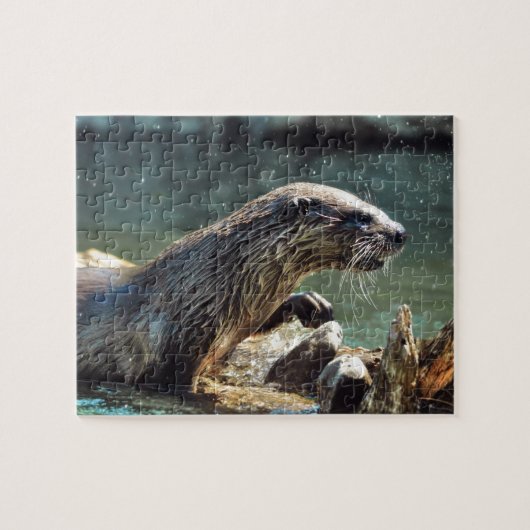 Foto van de Otter Animal-lover van het wild Legpuzzel (Horizontaal)