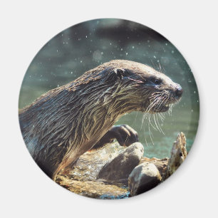 Foto van de Otter Animal-lover van het wild Magneet