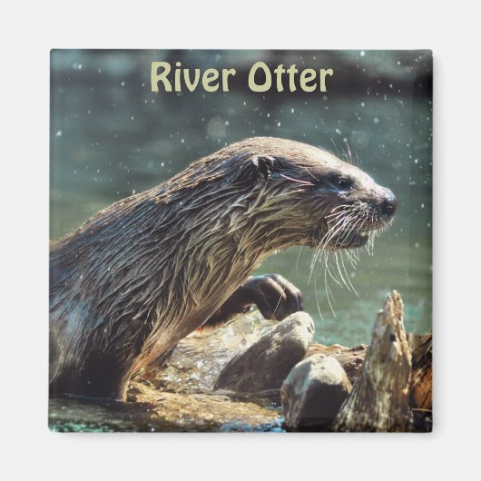 Foto van de Otter Animal-lover van het wild Magneet (Voorkant)