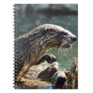 Foto van de Otter Animal-lover van het wild Notitieboek