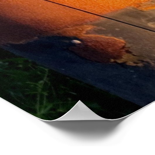 Foto van de oude gaspomp poster (Hoek)