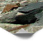 Foto van de oude Scituate vuurtoren Poster (Hoek)